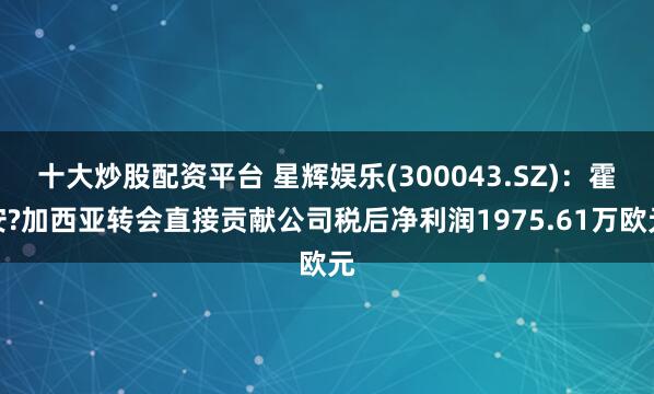 十大炒股配资平台 星辉娱乐(300043.SZ)：霍安?加西亚转会直接贡献公司税后净利润1975.61万欧元