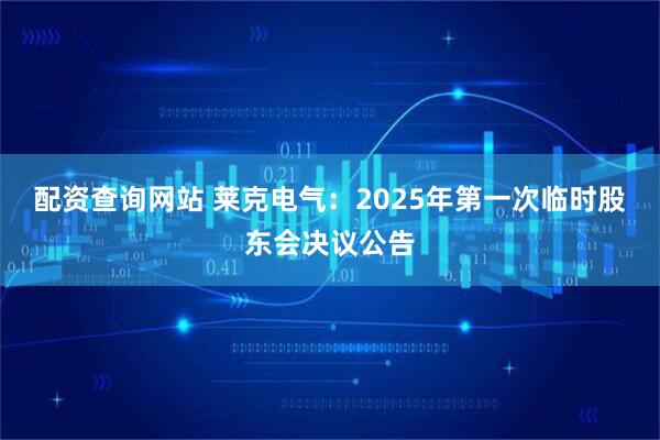 配资查询网站 莱克电气：2025年第一次临时股东会决议公告