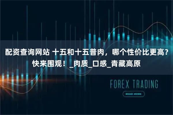 配资查询网站 十五和十五普肉，哪个性价比更高？快来围观！_肉质_口感_青藏高原