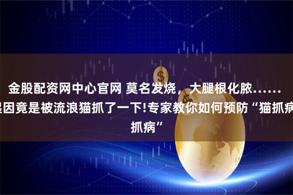 金股配资网中心官网 莫名发烧，大腿根化脓…… 起因竟是被流浪猫抓了一下!专家教你如何预防“猫抓病”