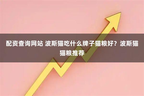 配资查询网站 波斯猫吃什么牌子猫粮好？波斯猫猫粮推荐